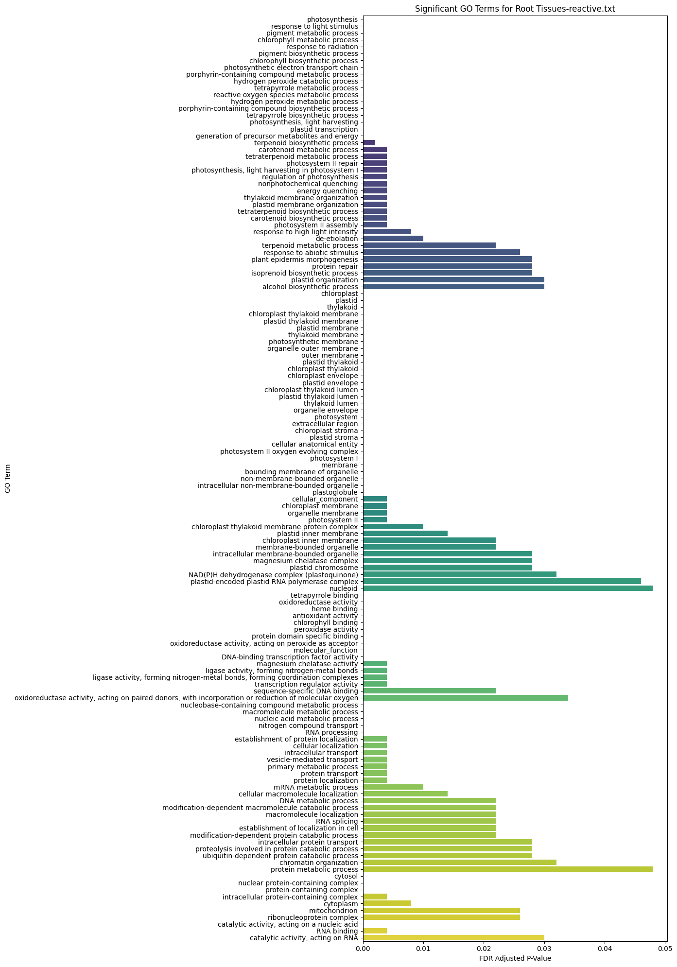 Functional Annotation Root Tissues